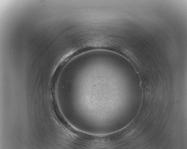 X0000054400727200508051713