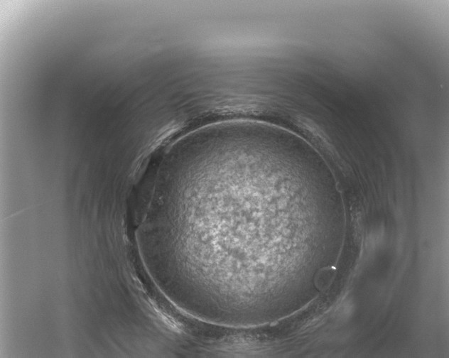 X0000054400729200508051713