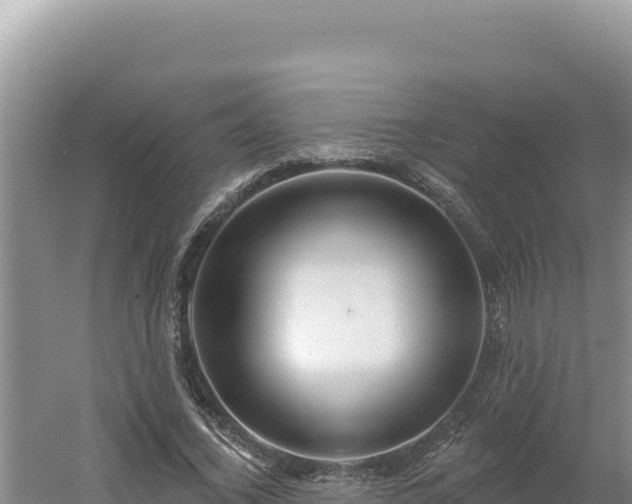 X0000054400732200508051713