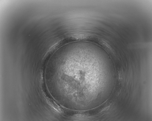 X0000054400733200508051713