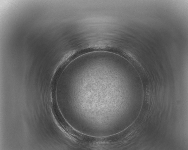 X0000054400734200508051713