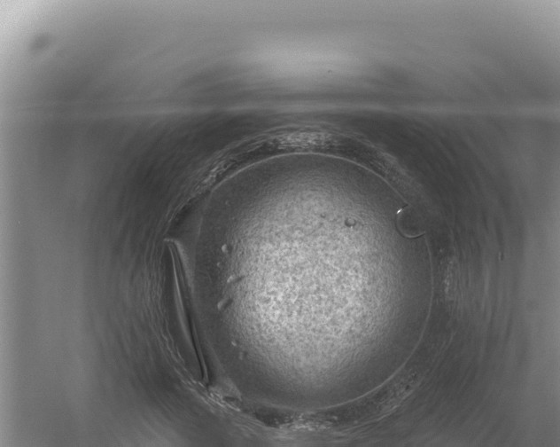 X0000054400737200508051713