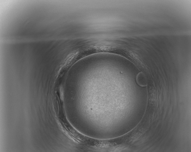 X0000054400738200508051713