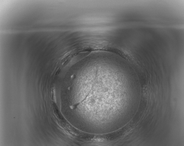 X0000054400741200508051713