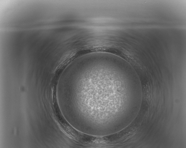 X0000054400742200508051713