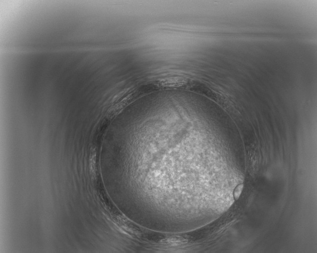 X0000054400745200508051713