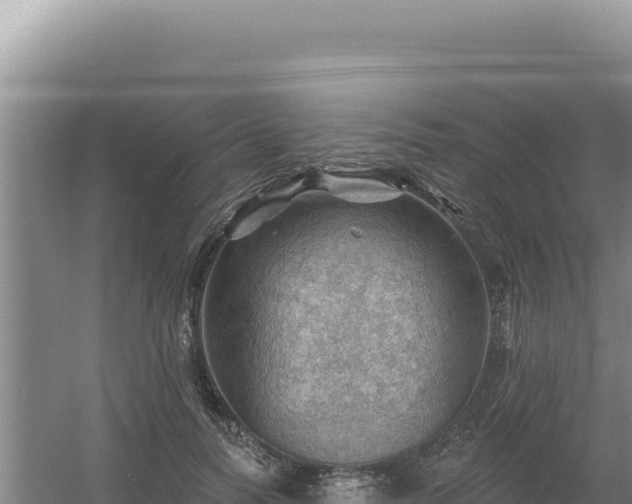 X0000054400746200508051713