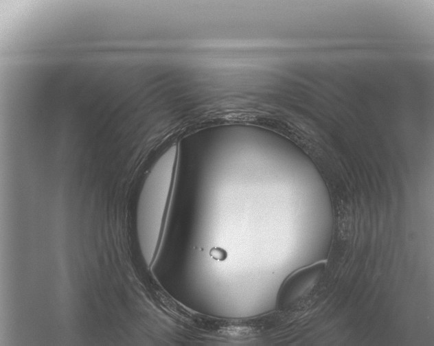 X0000054400748200508051713