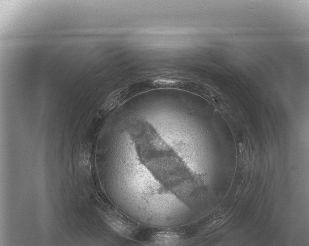 X0000054400749200508051713