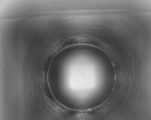 X0000054400752200508051713