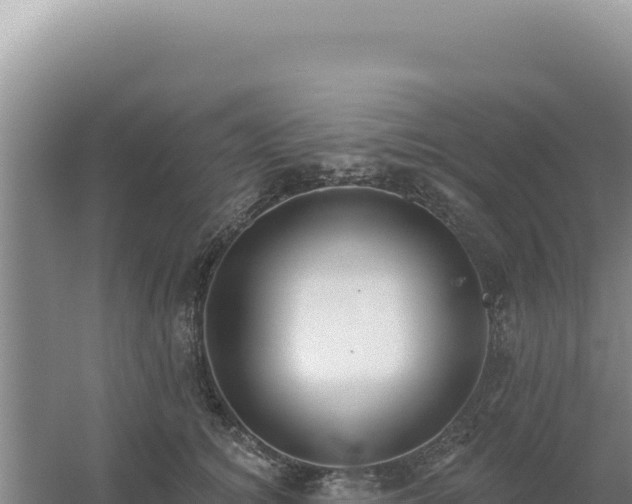 X0000054400756200508051713