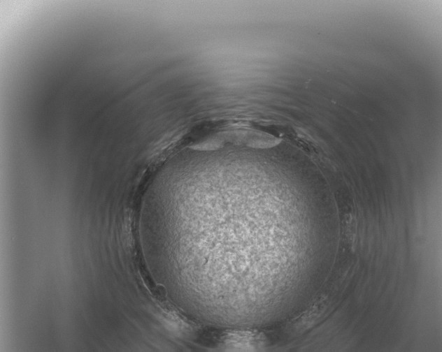 X0000054400757200508051713