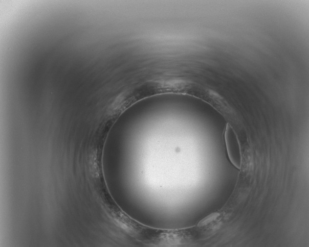 X0000054400764200508051713