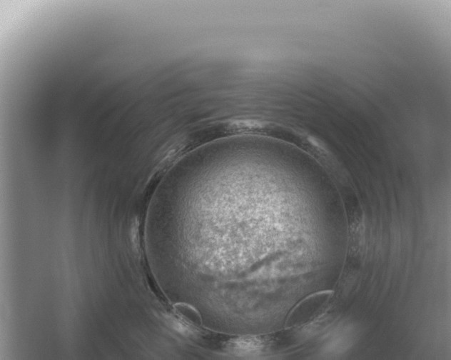 X0000054400765200508051713