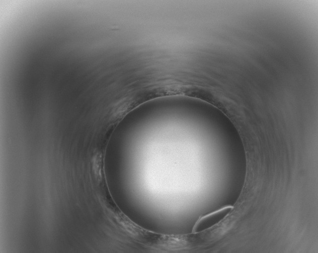 X0000054400768200508051713