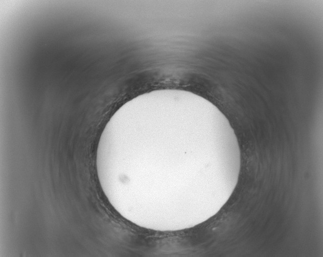 X0000054400769200508051712