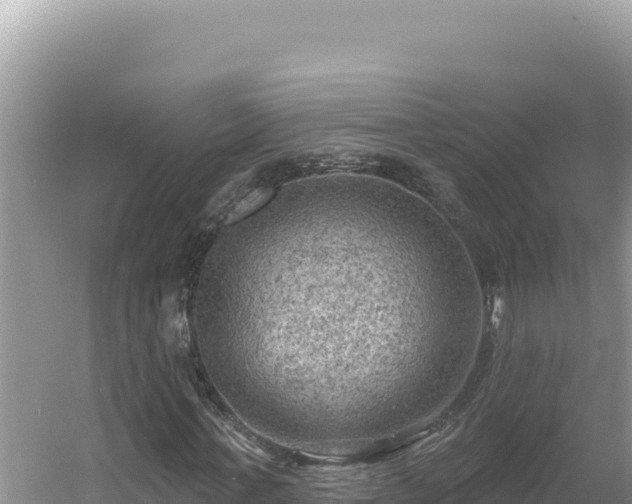 X0000054400771200508051712