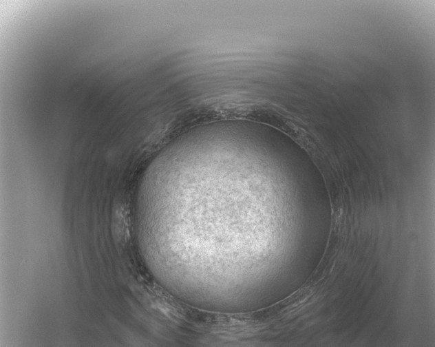 X0000054400772200508051712