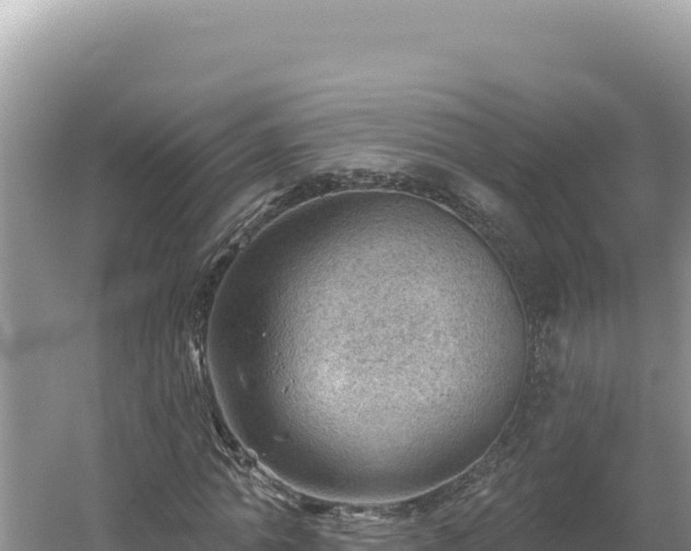 X0000054400774200508051712