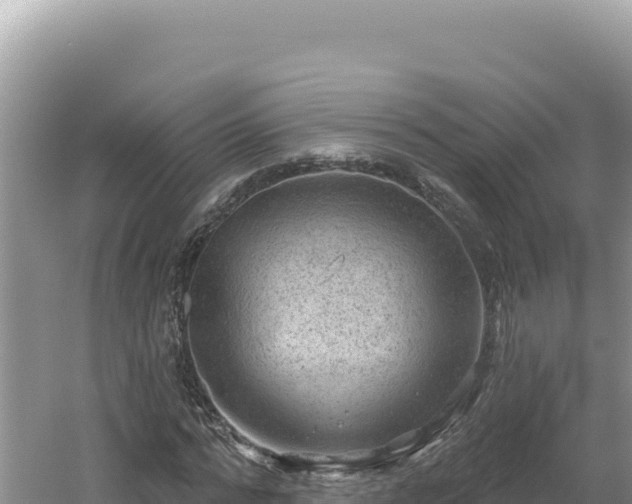 X0000054400776200508051712