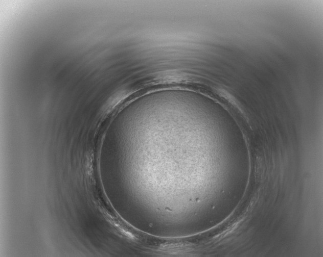 X0000054400778200508051712