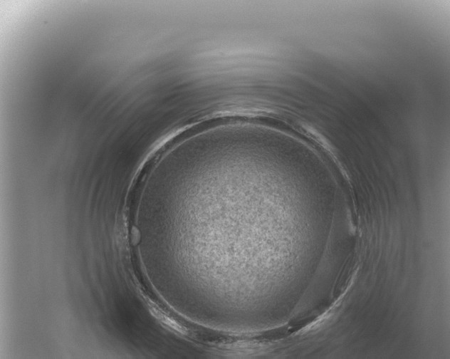 X0000054400779200508051712