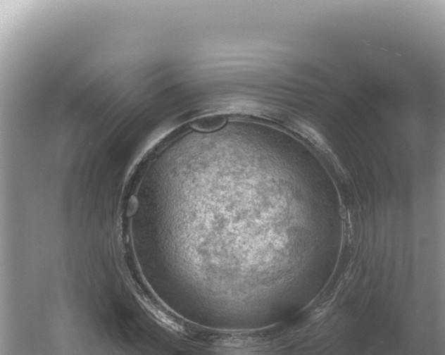 X0000054400780200508051712