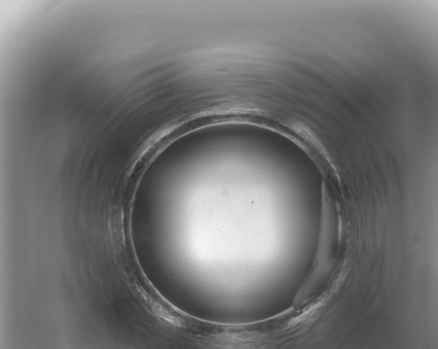 X0000054400781200508051712