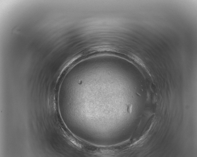 X0000054400782200508051712