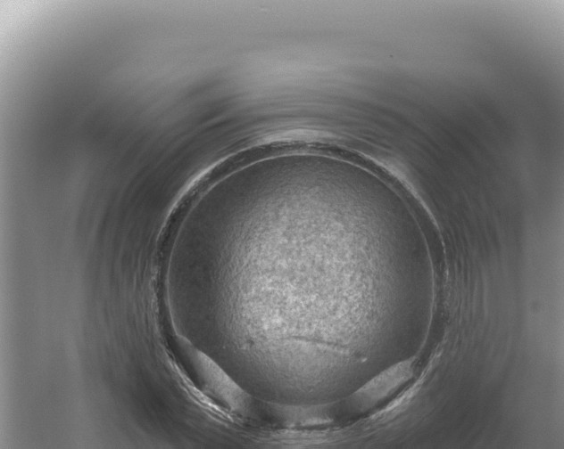 X0000054400783200508051712