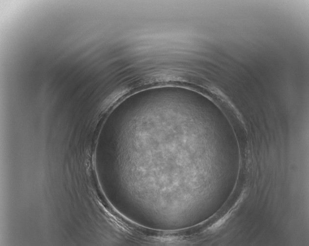 X0000054400785200508051712