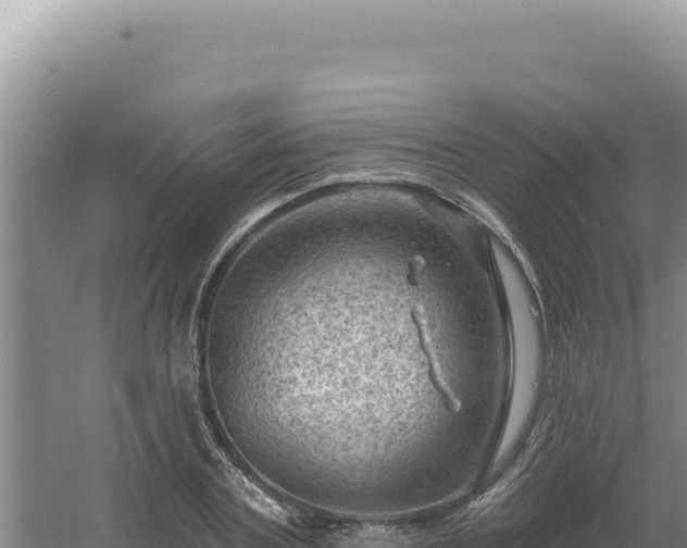 X0000054400787200508051712