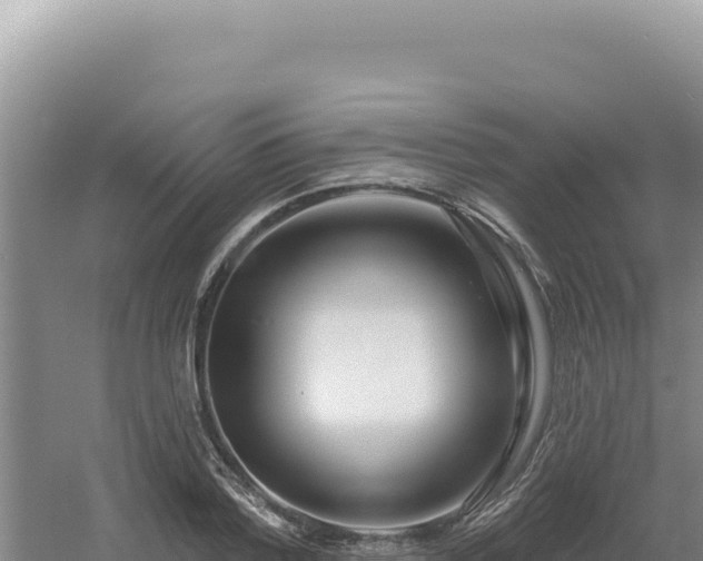 X0000054400788200508051712