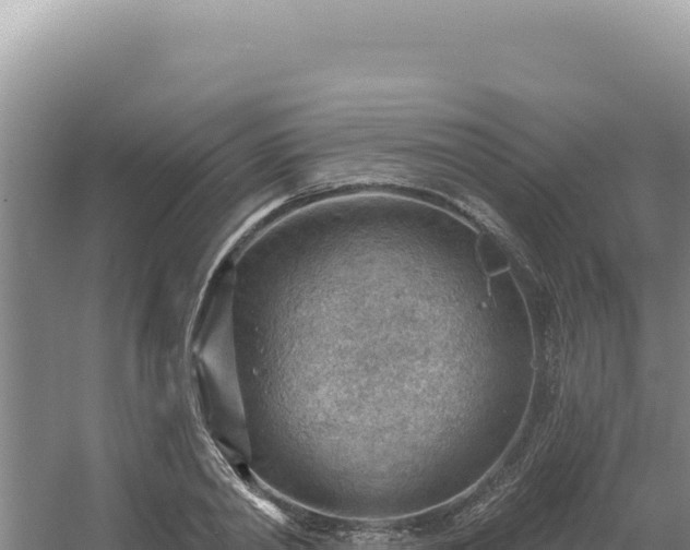 X0000054400790200508051712