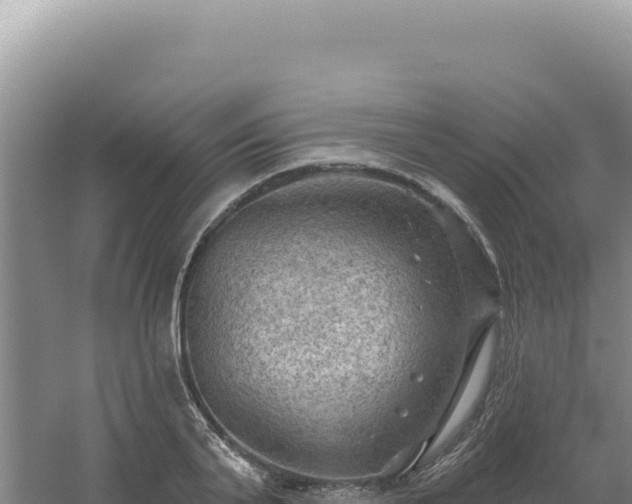 X0000054400791200508051712