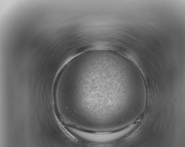 X0000054400795200508051712