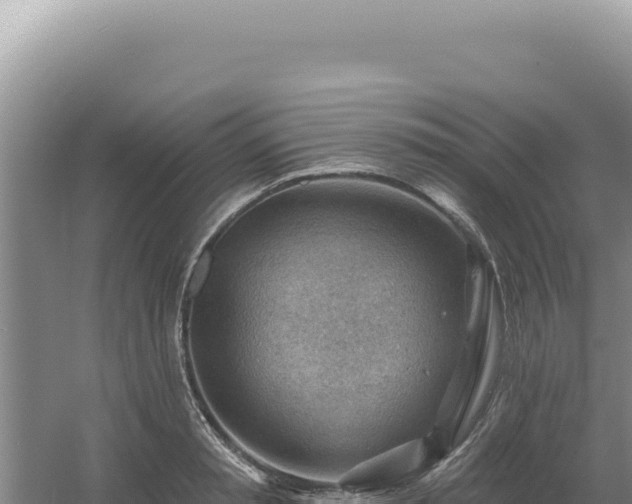 X0000054400797200508051712