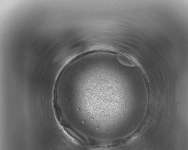 X0000054400799200508051712