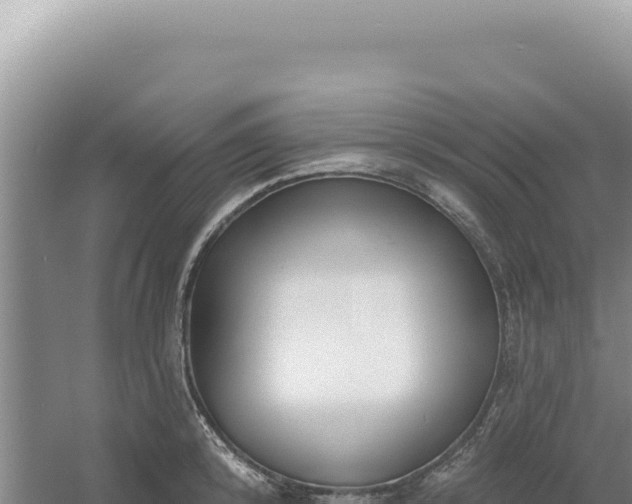 X0000054400800200508051712