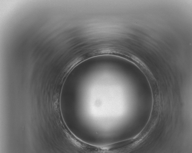 X0000054400801200508051712