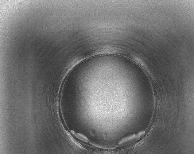 X0000054400802200508051712