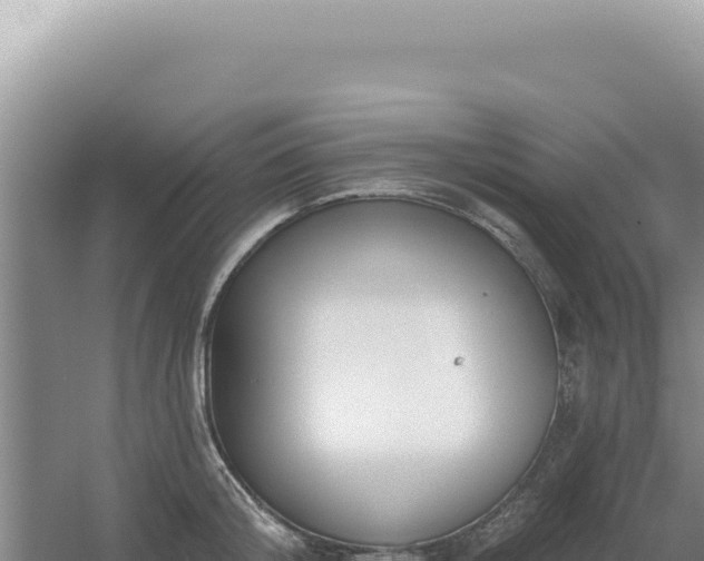 X0000054400804200508051712