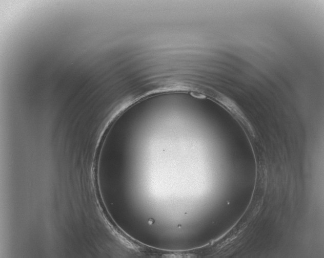 X0000054400805200508051712