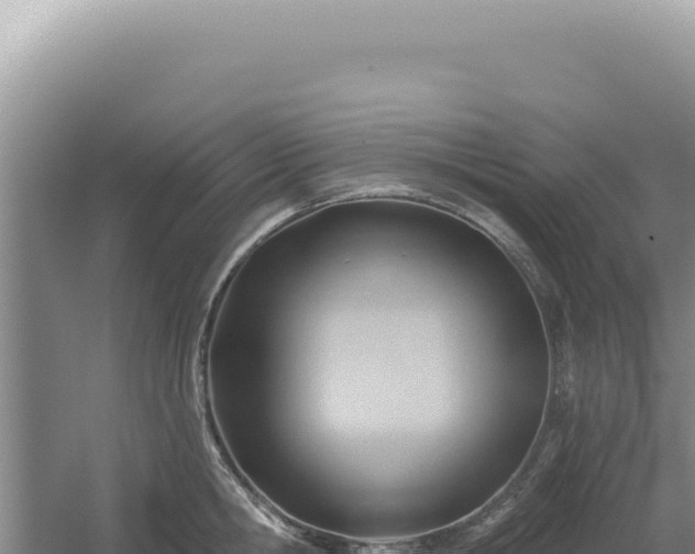 X0000054400806200508051712