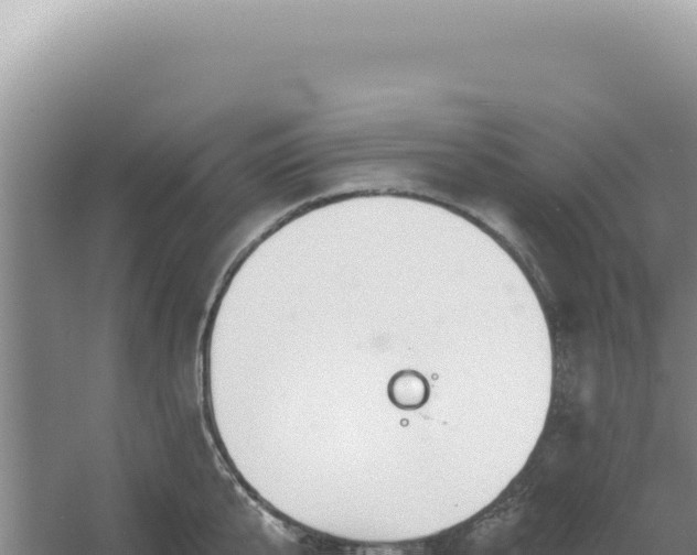 X0000054400807200508051712