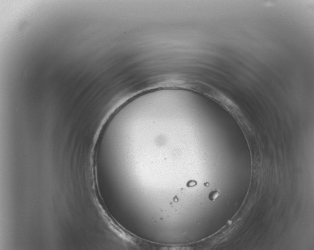 X0000054400808200508051712