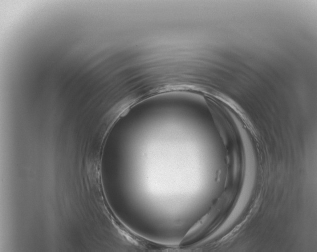 X0000054400809200508051712