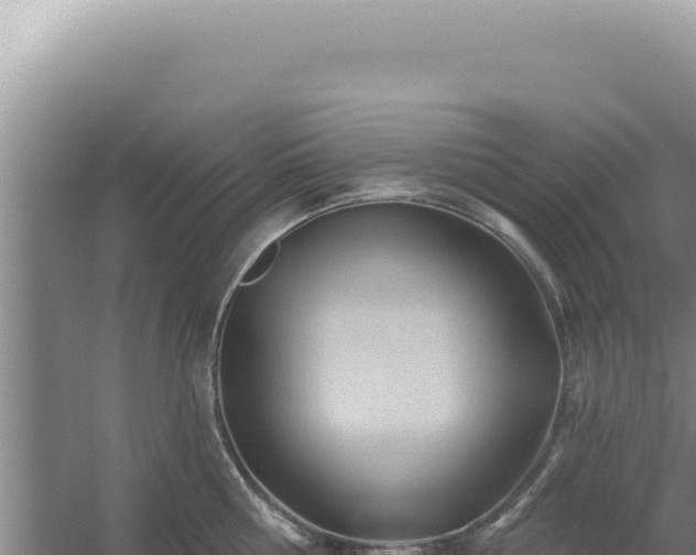 X0000054400810200508051712