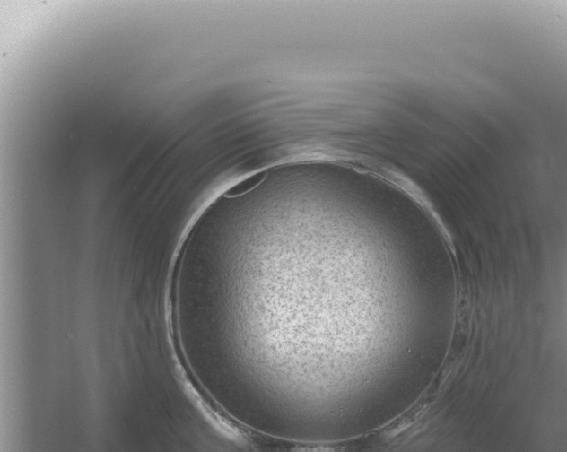 X0000054400811200508051712