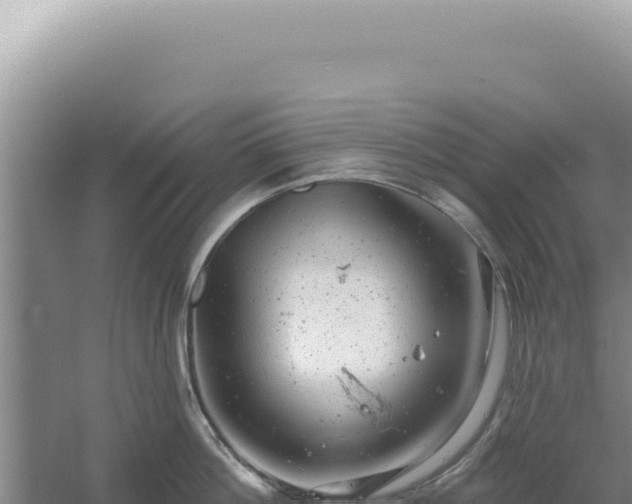 X0000054400812200508051712